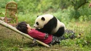 Panda a já